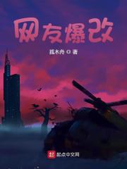 网友爆改