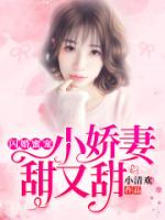 闪婚蜜宠：小娇妻，甜又甜